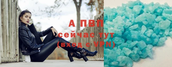 сатива Балахна