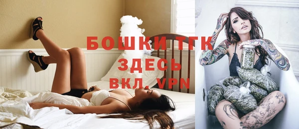 сатива Балахна