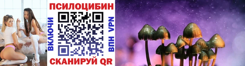 Галлюциногенные грибы GOLDEN TEACHER  где купить наркотик  Городище 